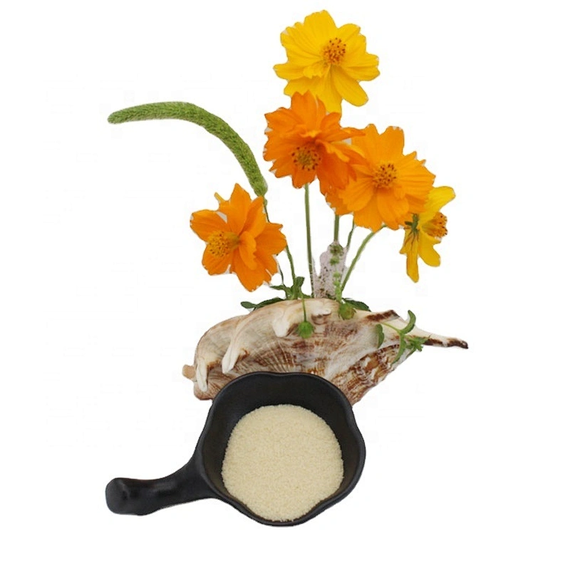 Beef Gelatin Halal Gelatin China Plant Beef Bovine Bone Gelatin